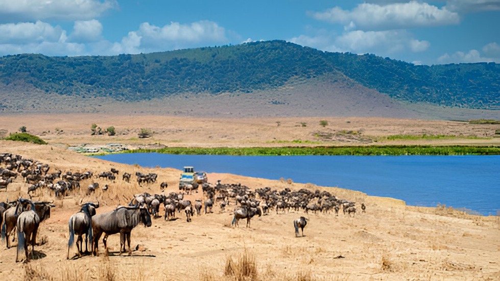 Ngorongoro Conservation Area