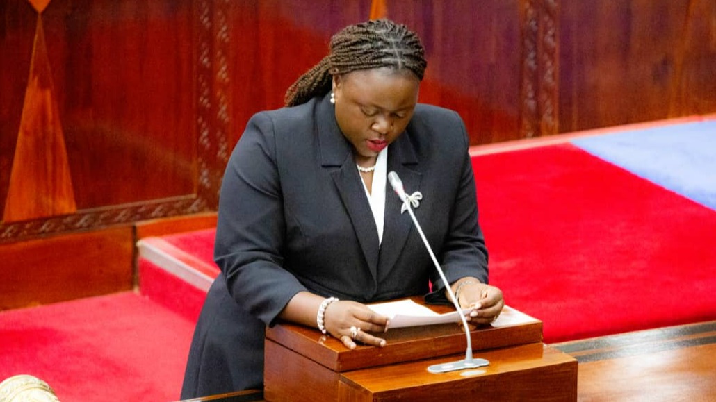 VITONGOJI 9000 KUSAMBAZIWA UMEME MWAKA...