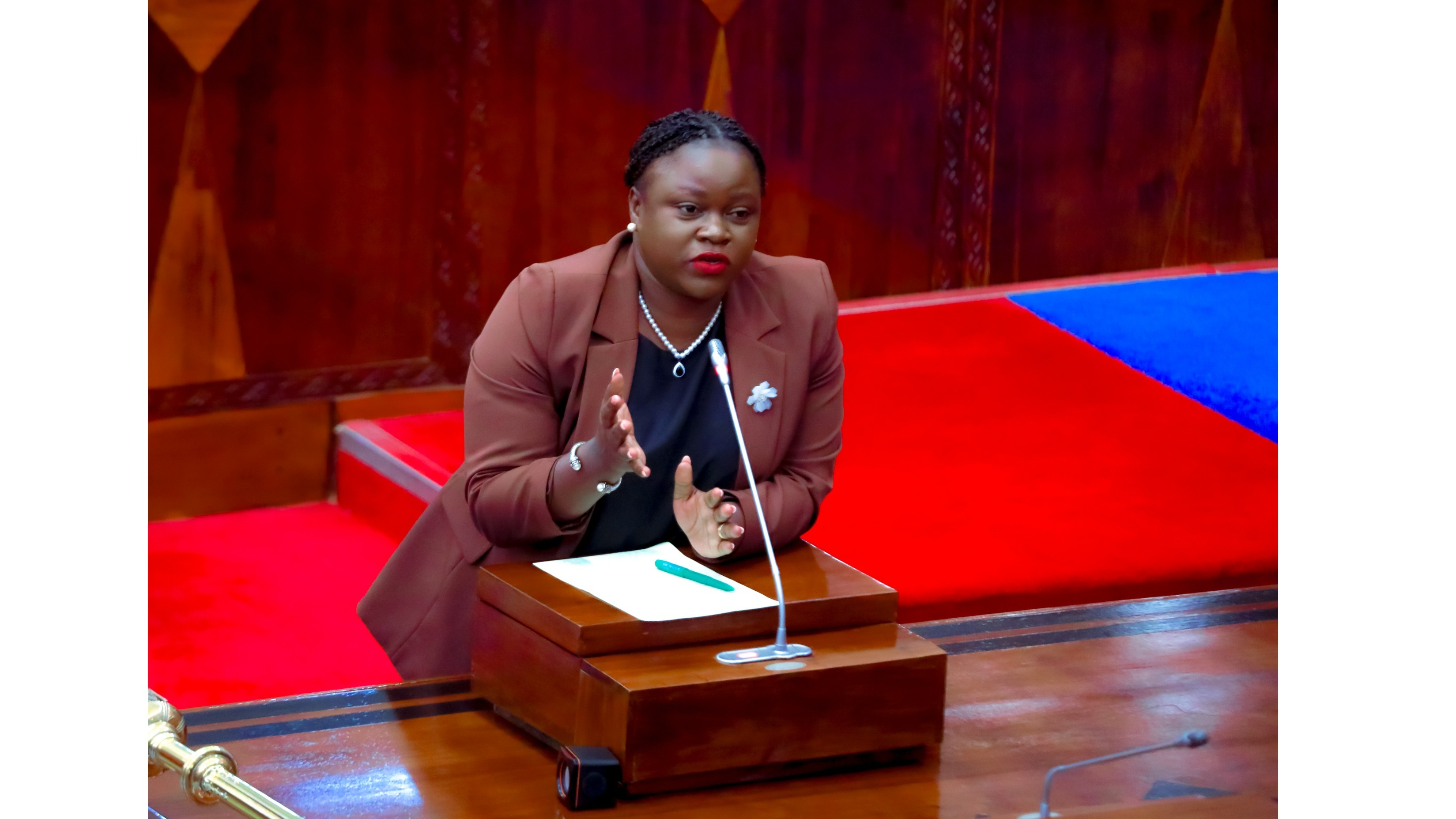 SHULE 216 ZA SERIKALI ZATUMIA NISHATI SA...