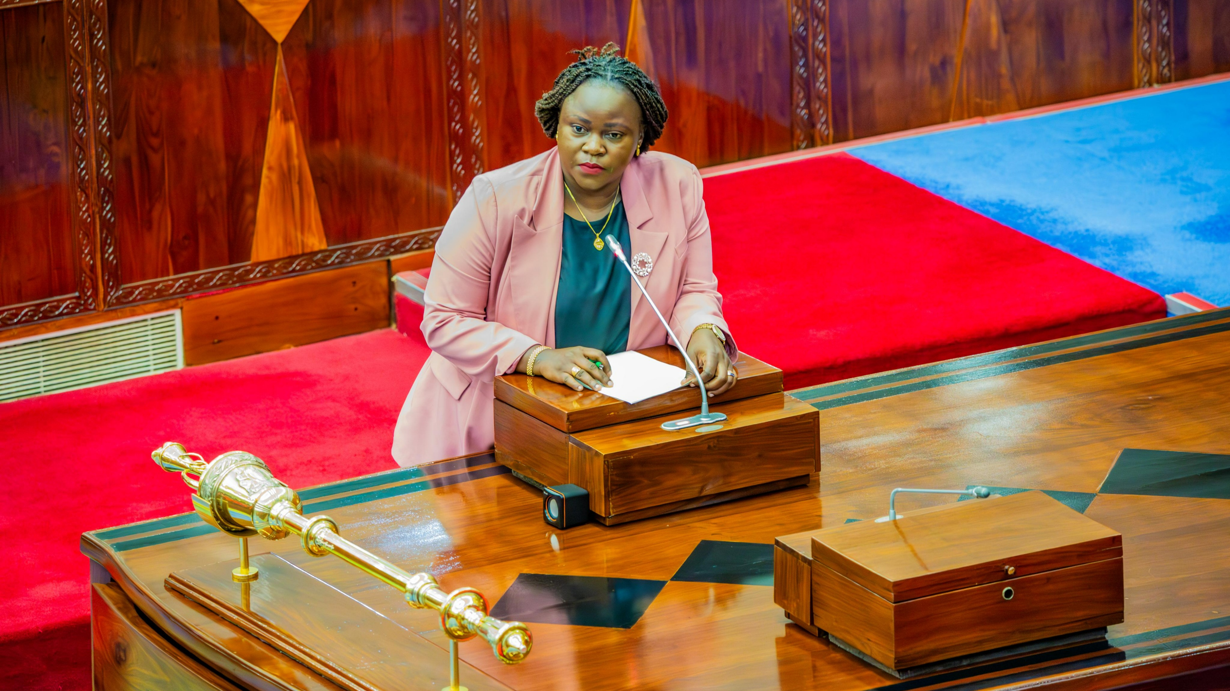 KAPINGA ASEMA KIPAUMBELE CHA SERIKALI NI...