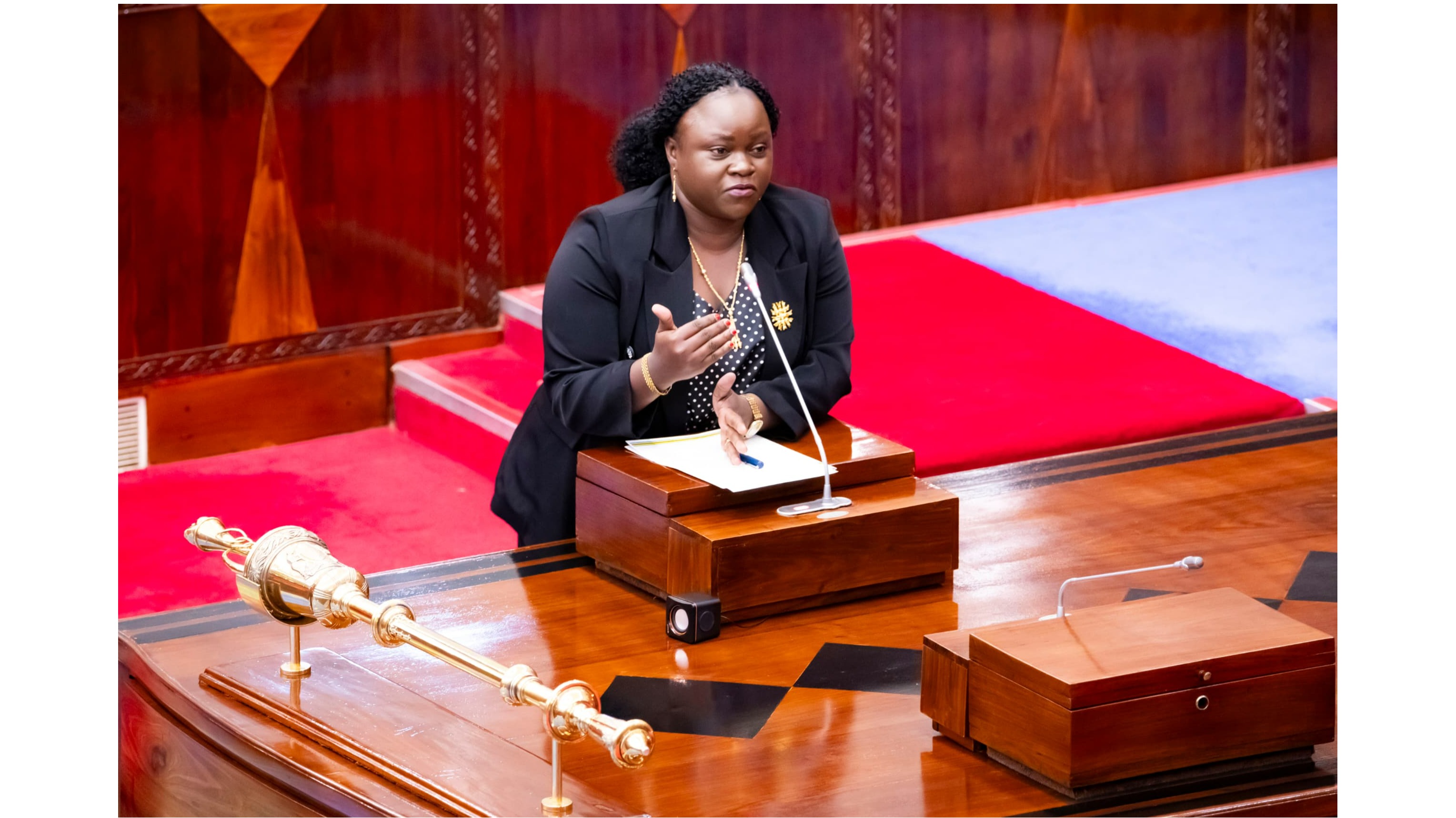 SERIKALI IMETOA RUZUKU YA ASILIMIA 20 HA...