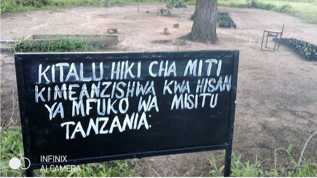 Uperembaji wa Ruzuku